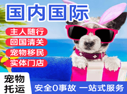漠河古莲空运代理国际宠物托运 【国